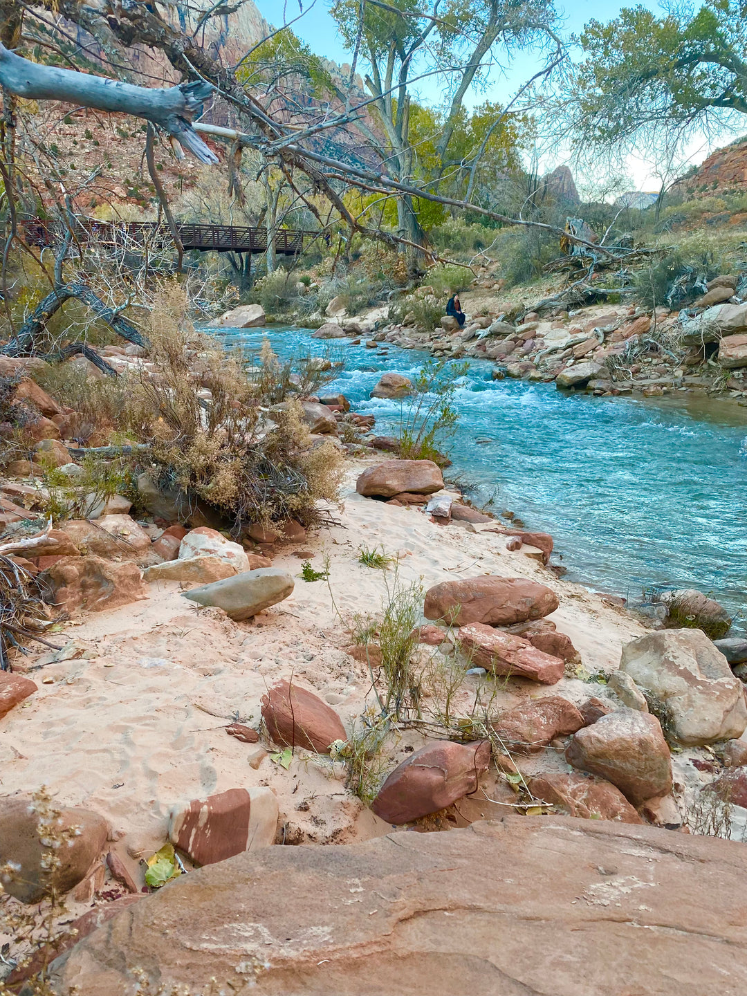 Getaway to Zion National Park!