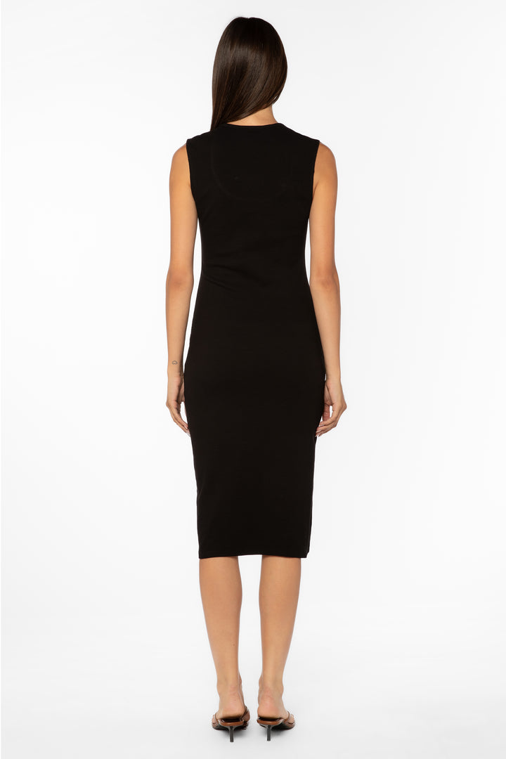 Aldene Black Dress - Dresses - Velvet Heart Clothing