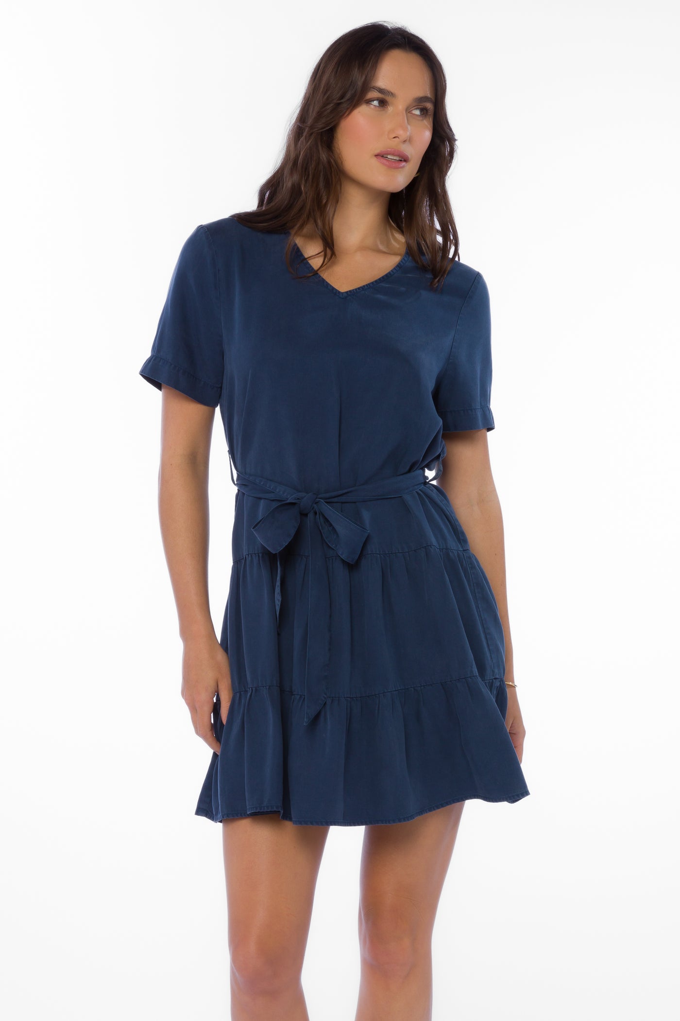 Arrow French Navy Dress - Dresses - Velvet Heart Clothing