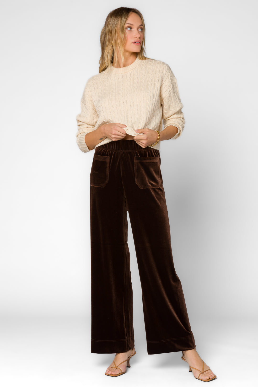 Bates Velvet Brown Pants - Bottoms - Velvet Heart Clothing