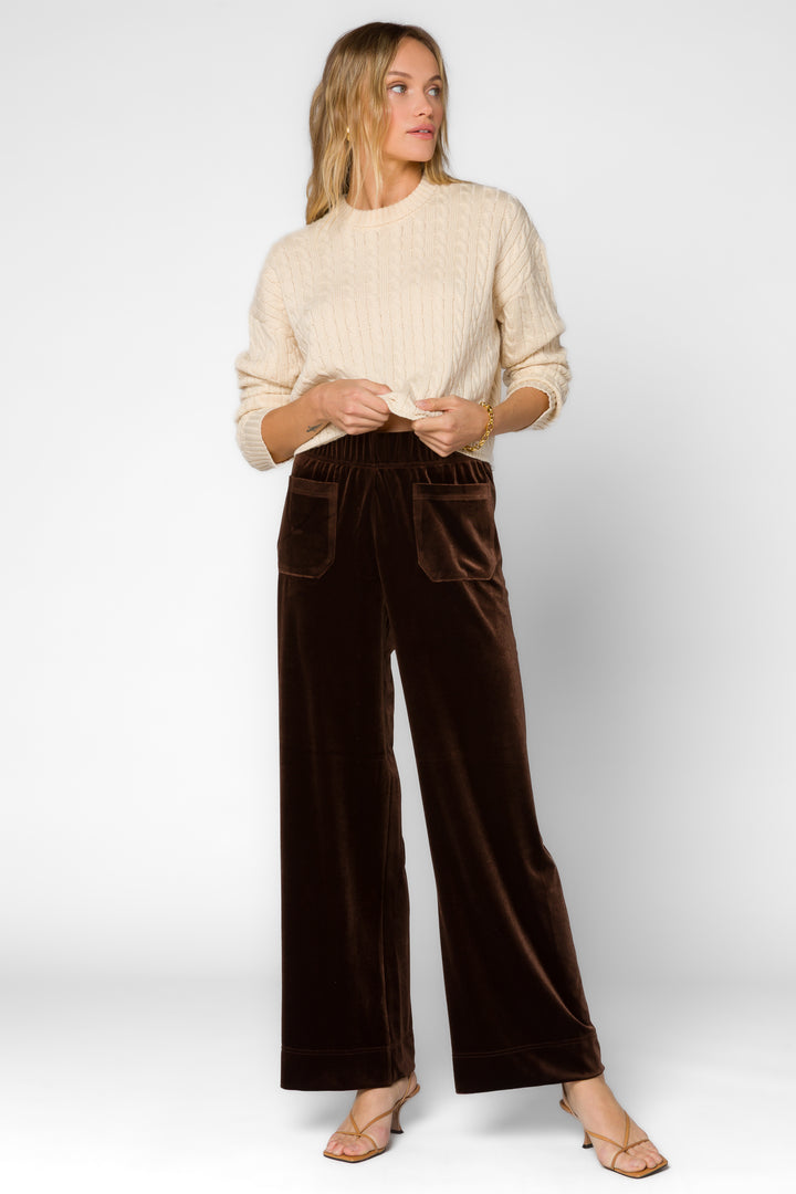 Bates Velvet Brown Pants - Bottoms - Velvet Heart Clothing