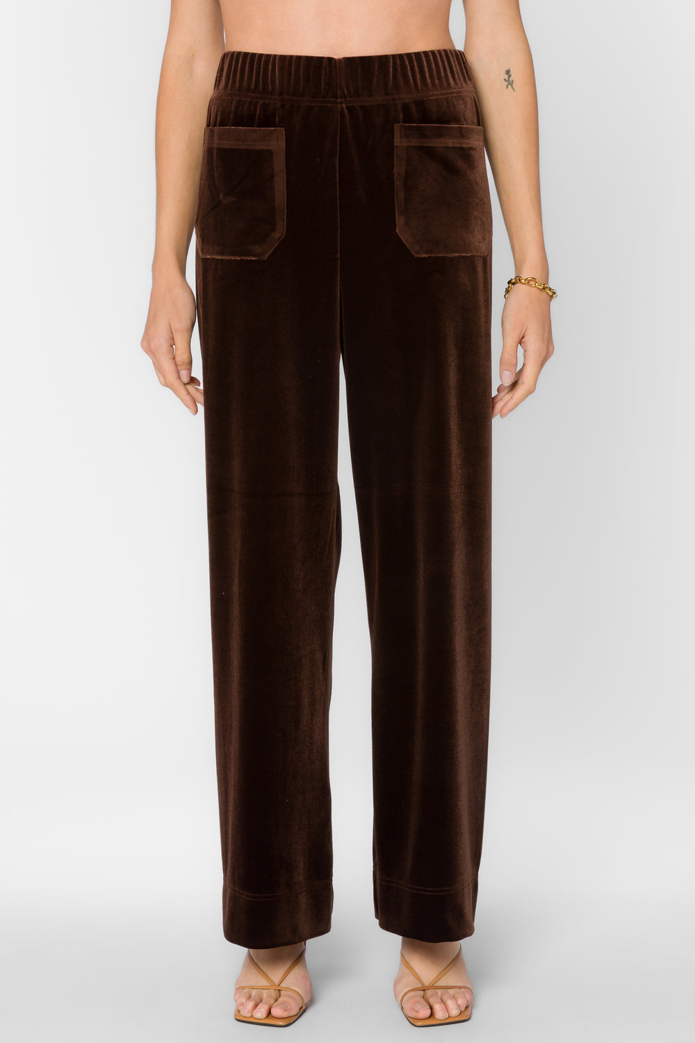 Bates Velvet Brown Pants - Bottoms - Velvet Heart Clothing