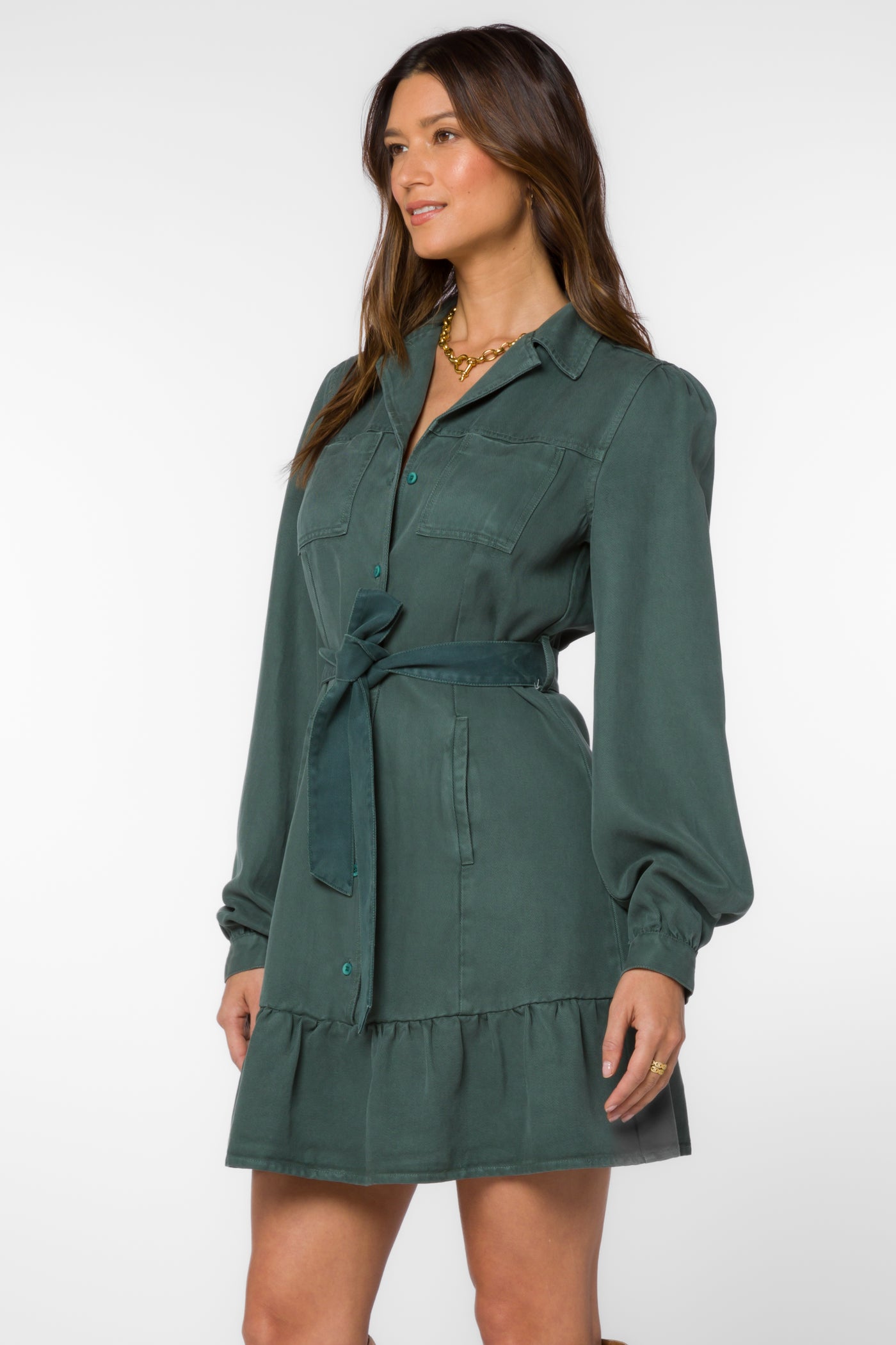 Bethenny Dark Green Dress - Dresses - Velvet Heart Clothing