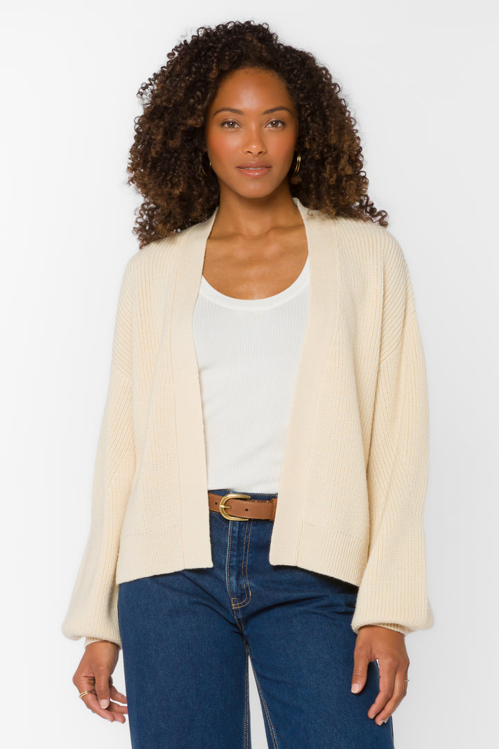 Brayden Fiberglass Cardigan - Sweaters - Velvet Heart Clothing