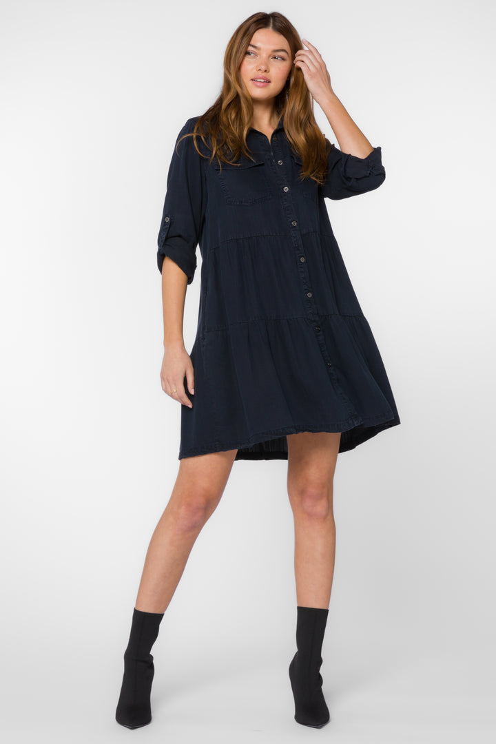 Bree Overdye Indigo Dress - Dresses - Velvet Heart Clothing