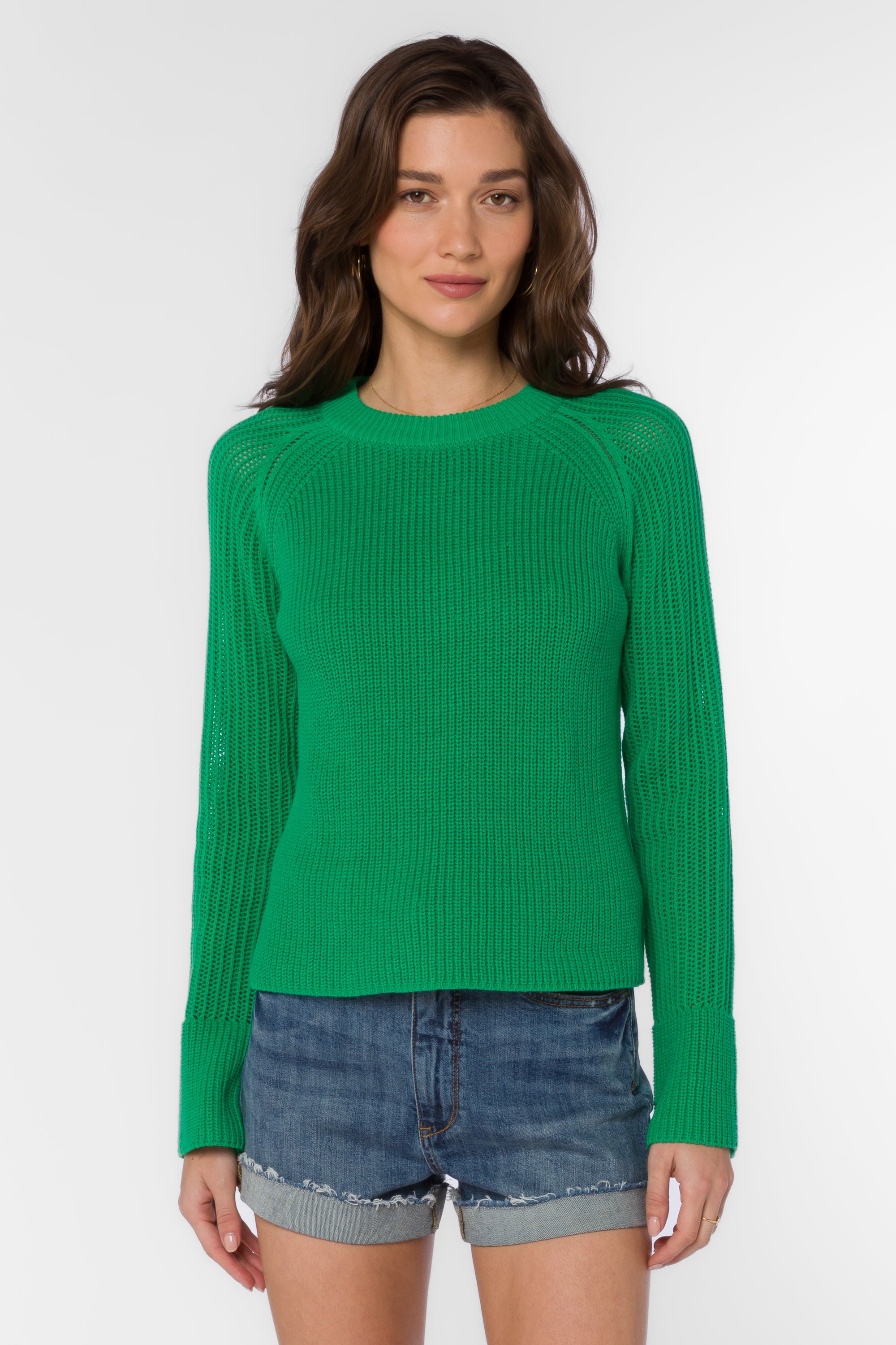 Craig Bright Green Sweater - Sweaters - Velvet Heart Clothing