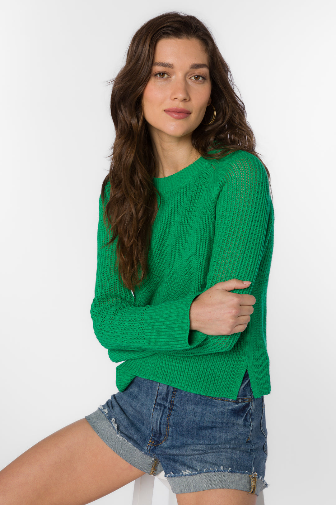 Craig Bright Green Sweater - Sweaters - Velvet Heart Clothing