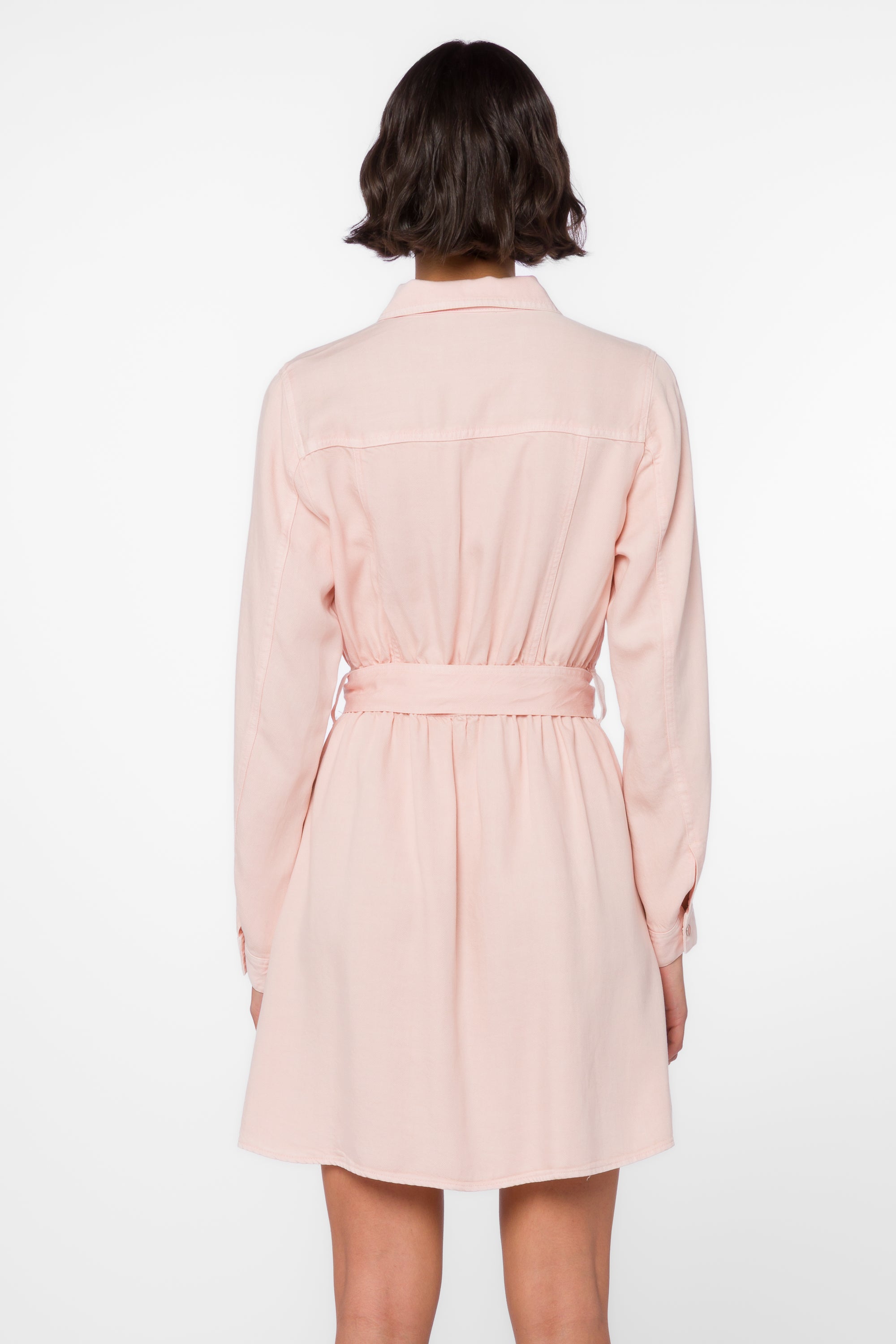 Deena Blushing Rose Dress - Dresses - Velvet Heart Clothing