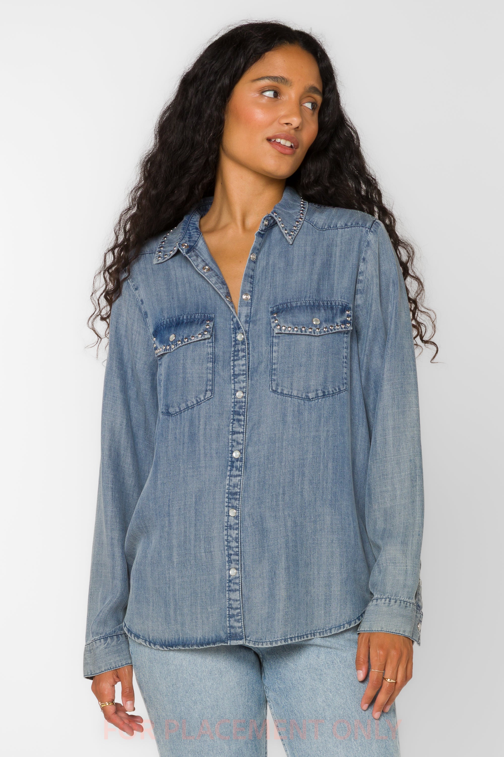 Delaine Blue Chambray Shirt – Velvet Heart Clothing