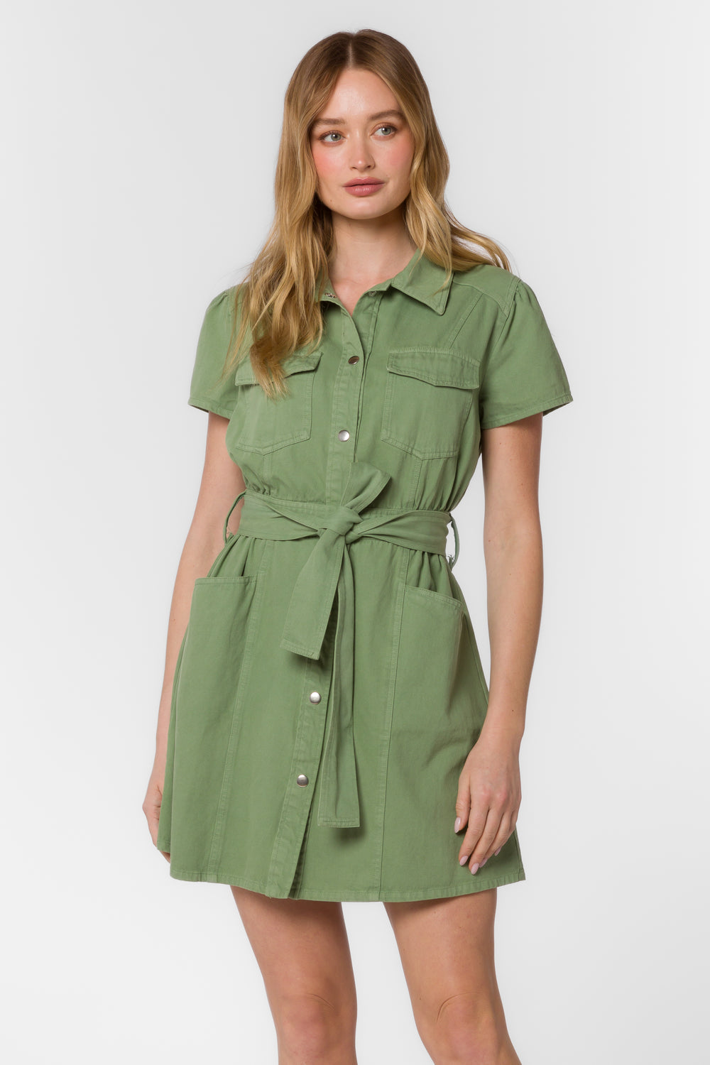Fonda Tea Leaf Green Dress - Dresses - Velvet Heart Clothing