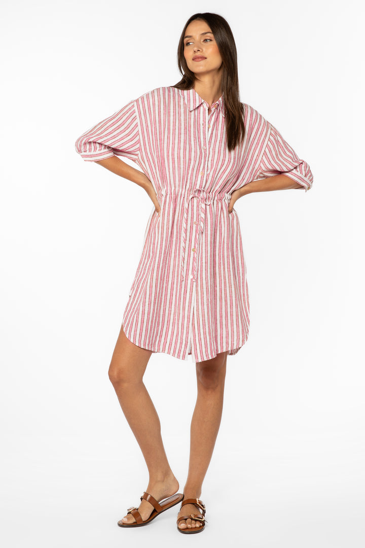 Jenneva Pink Stripe Dress - Dresses - Velvet Heart Clothing