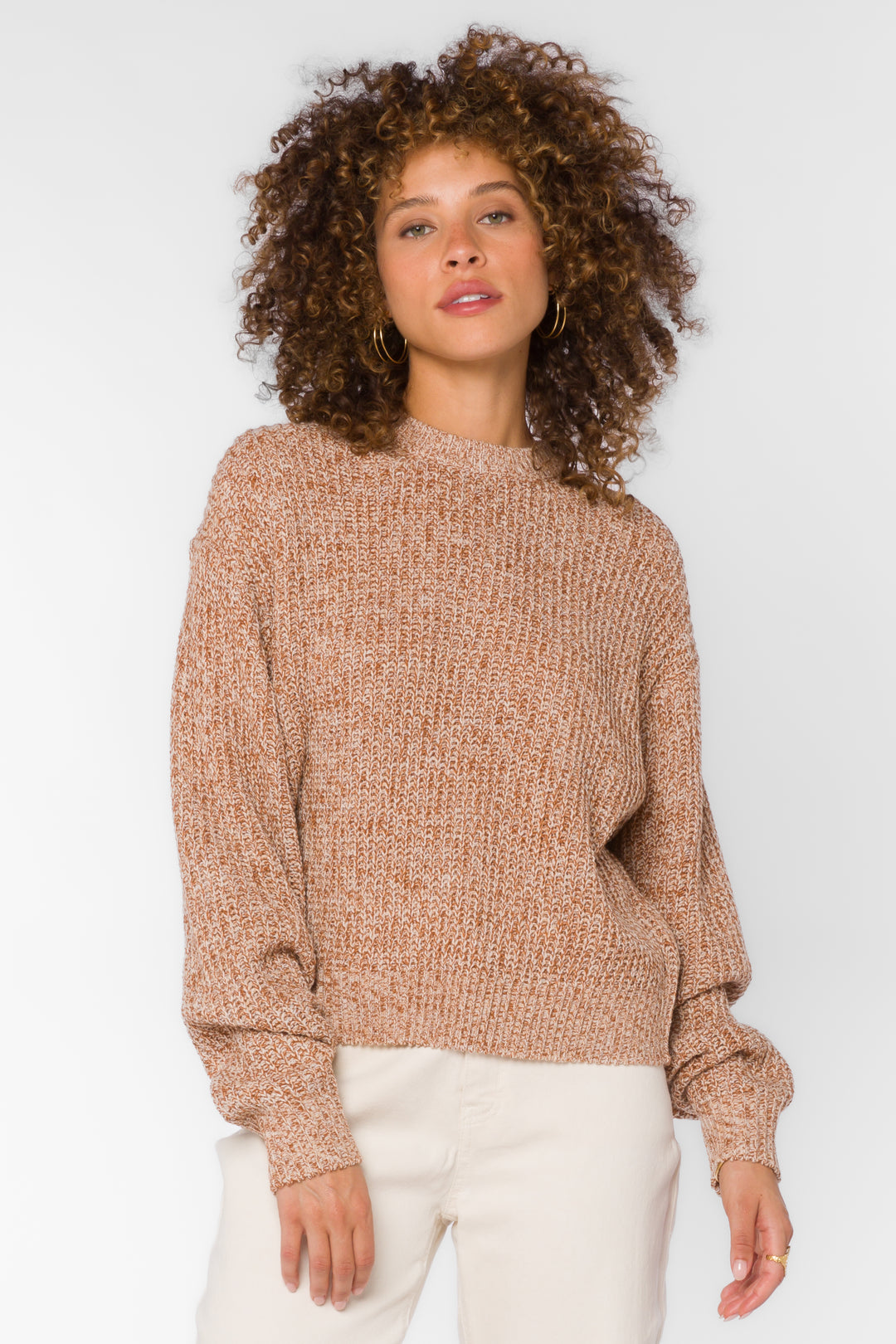 Justine Marled Brown Sweater - Sweaters - Velvet Heart Clothing