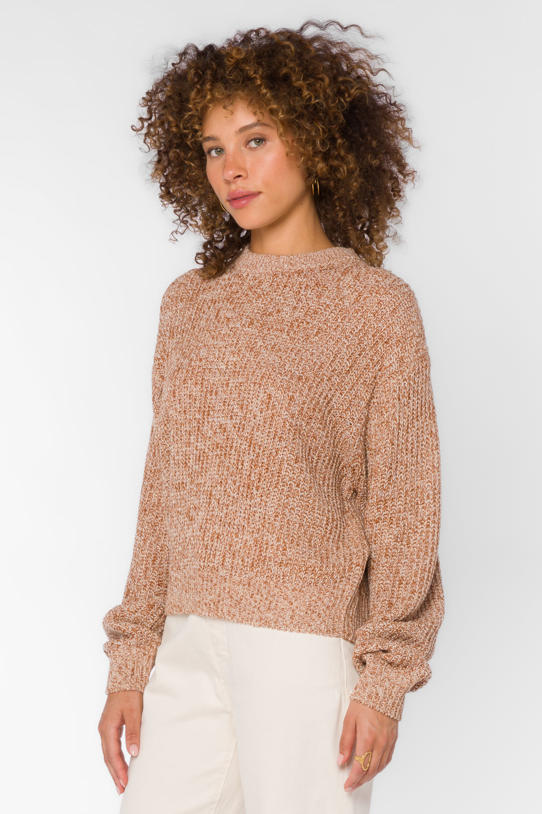 Justine Marled Brown Sweater - Sweaters - Velvet Heart Clothing