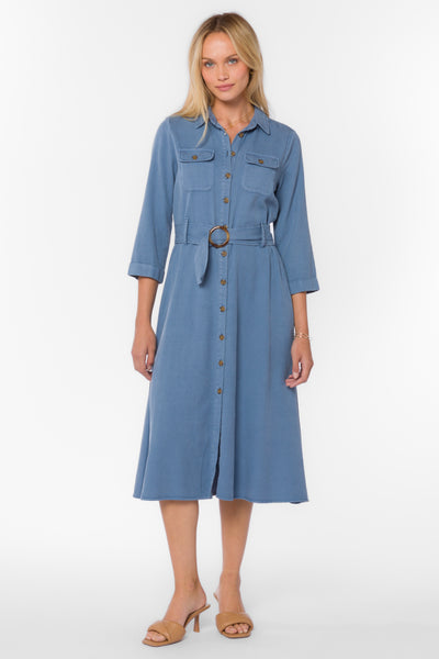 Katia Vintage Blue Dress - Dresses - Velvet Heart Clothing