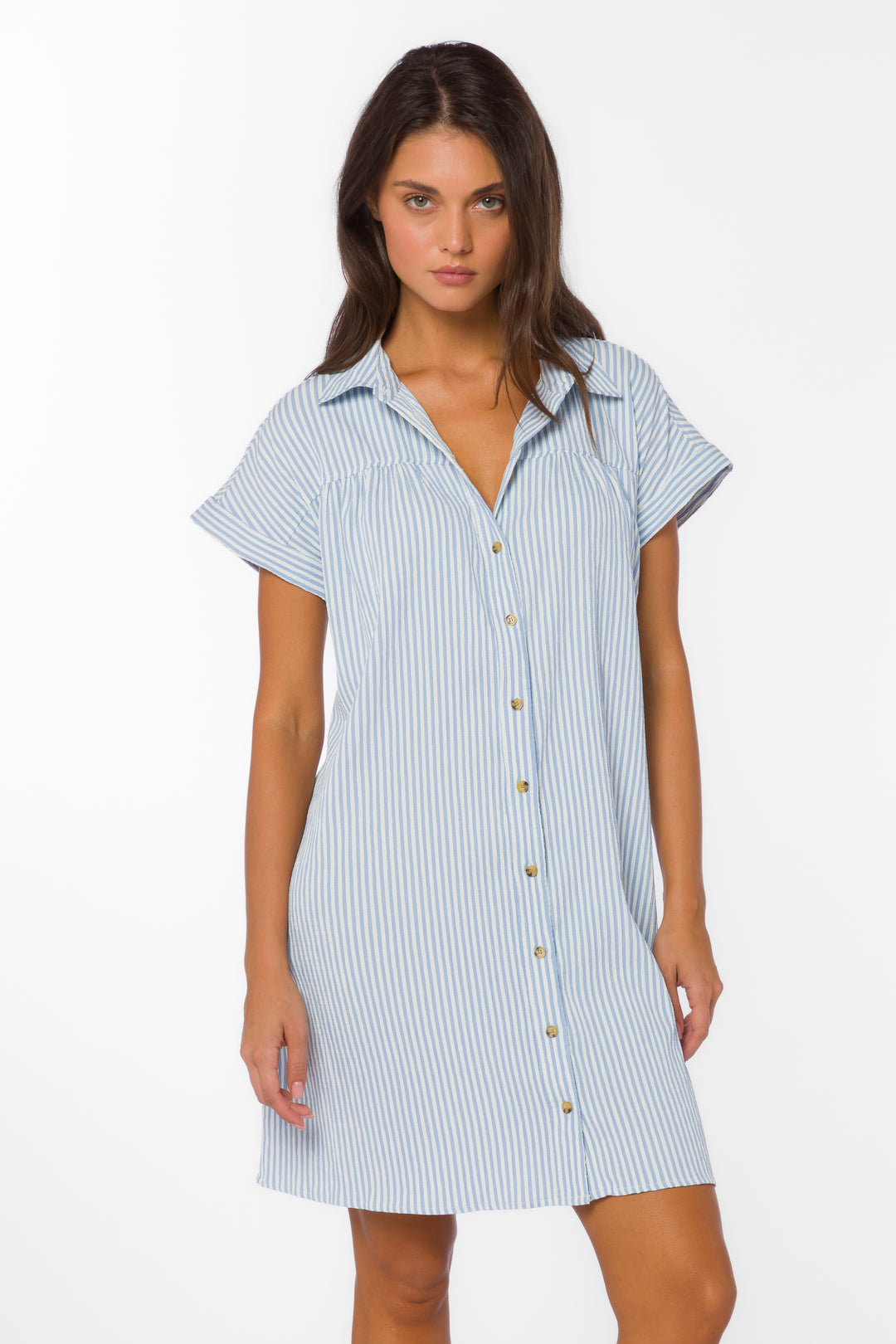 Merilee Peri Stripe Dress - Dresses - Velvet Heart Clothing