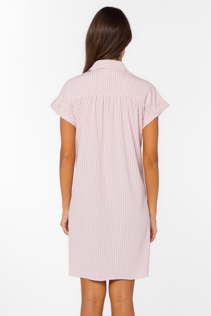 Merilee Pink Stripe Dress - Dresses - Velvet Heart Clothing