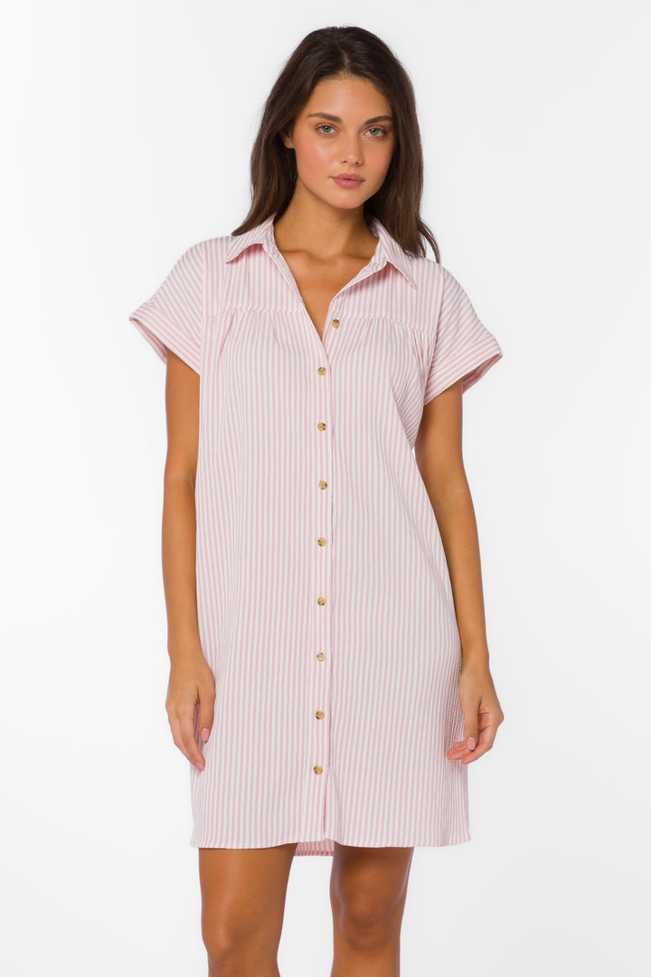 Merilee Pink Stripe Dress - Dresses - Velvet Heart Clothing