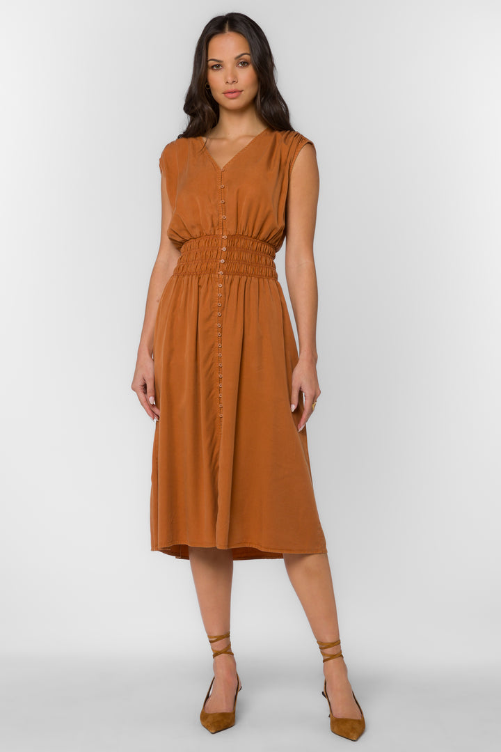 Persa Belgian Cocoa Dress - Dresses - Velvet Heart Clothing