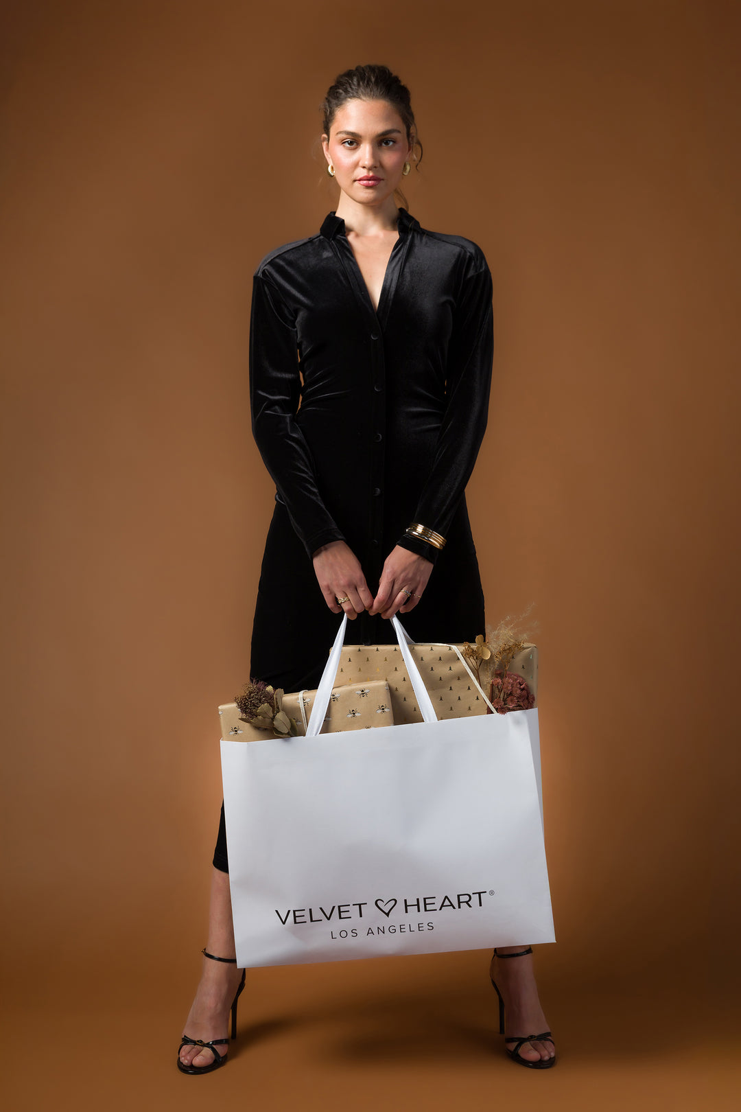 Phoenix Black Velvet Dress