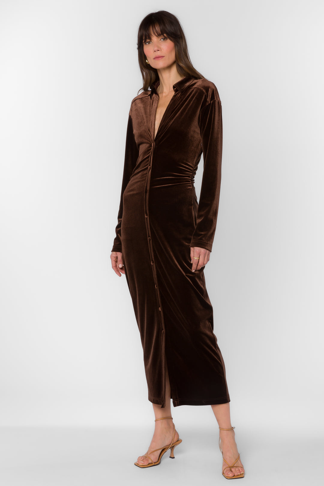 Phoenix Velvet Brown Dress - Dresses - Velvet Heart Clothing