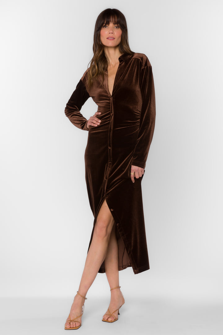 Phoenix Velvet Brown Dress - Dresses - Velvet Heart Clothing