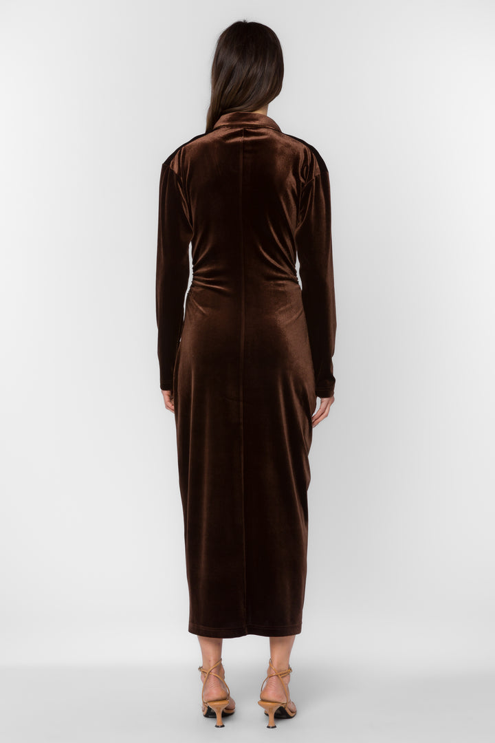Phoenix Velvet Brown Dress - Dresses - Velvet Heart Clothing
