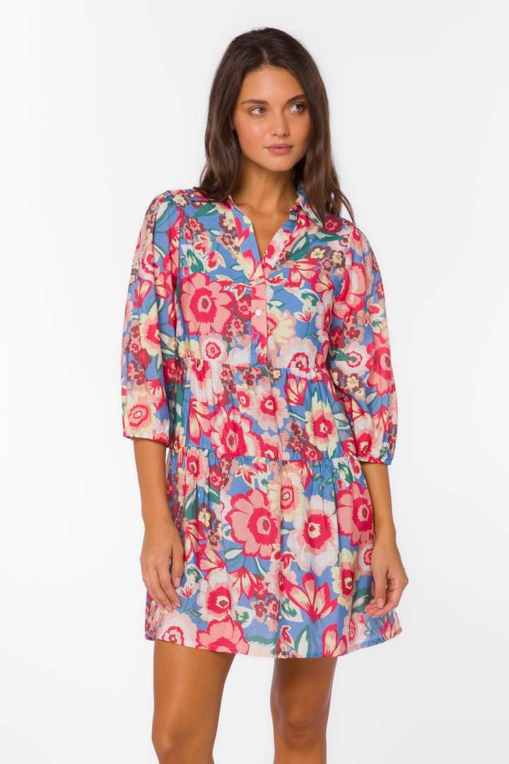 Quintessa Spring Garden Dress - Dresses - Velvet Heart Clothing