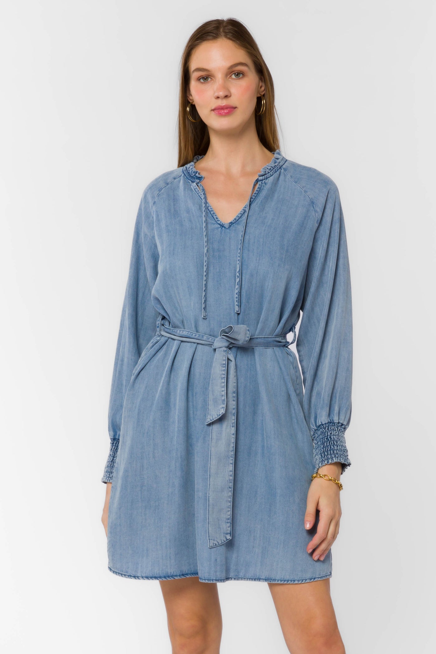 Roslyn Blue Dress - Dresses - Velvet Heart Clothing