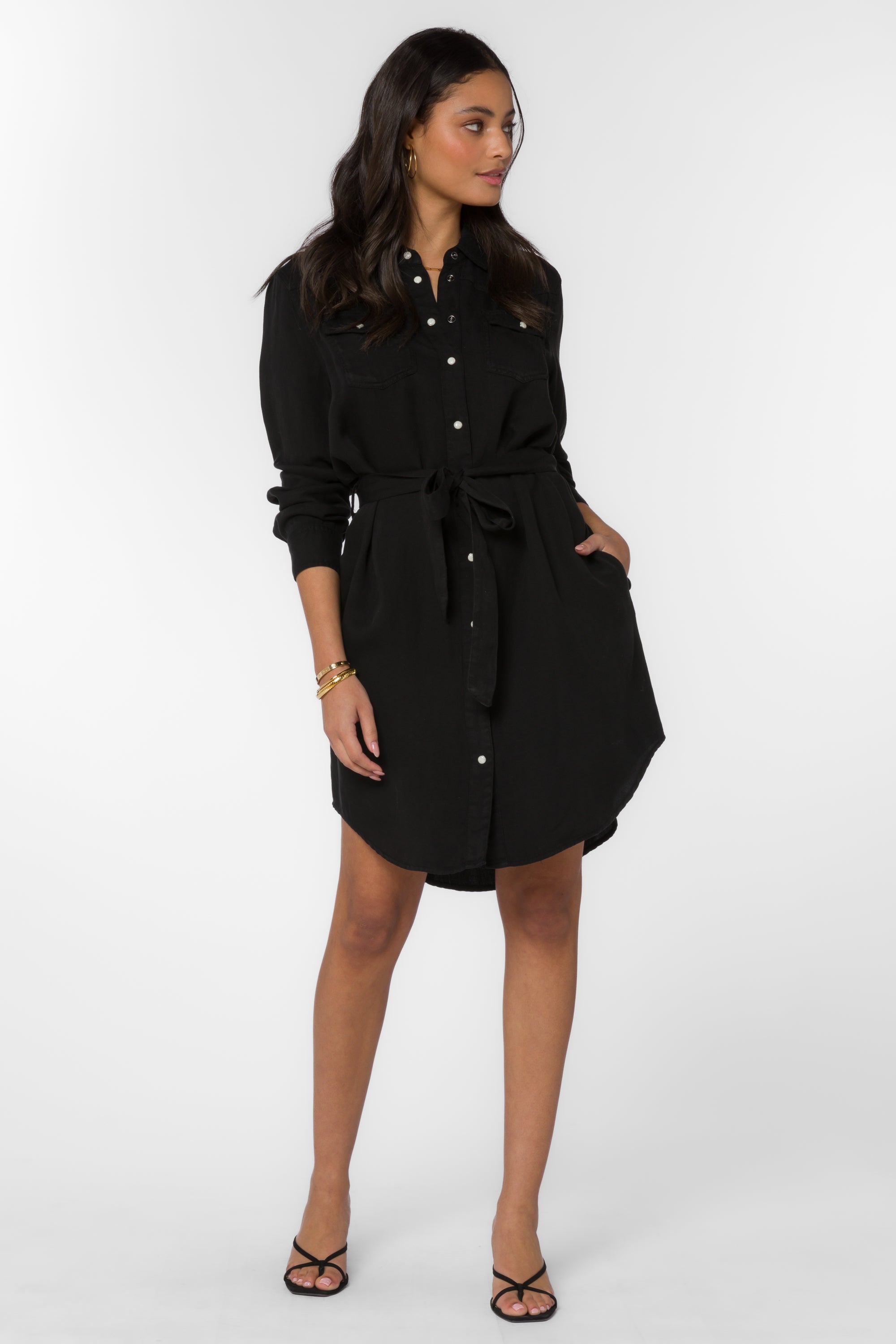 Sharilyn Black Shirtdress – Velvet Heart Clothing