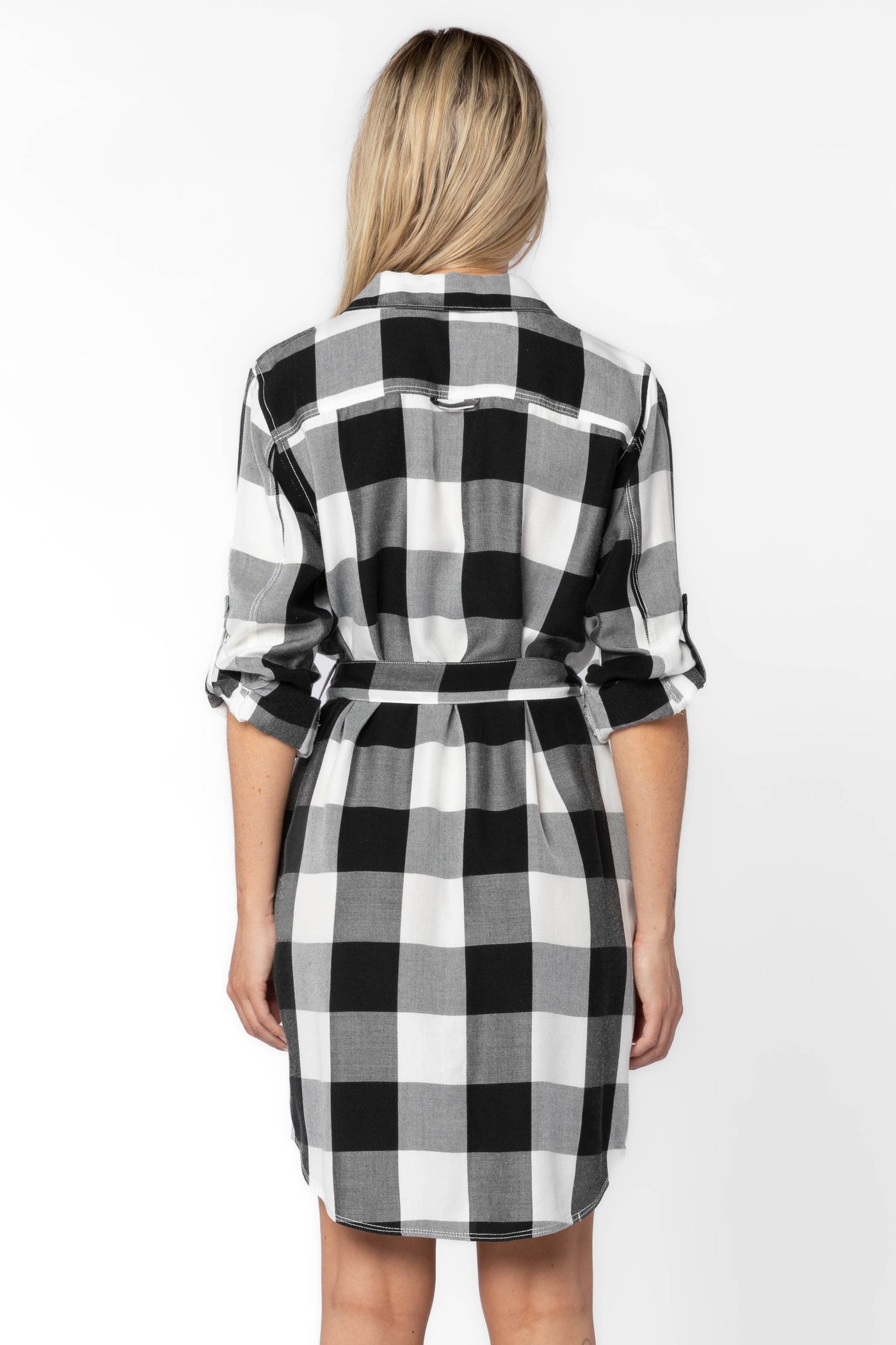 Anita Black Check Dress - Dresses - Velvet Heart Clothing