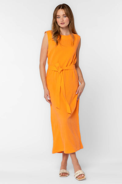 Aurelie Orange Dress - Dresses - Velvet Heart Clothing