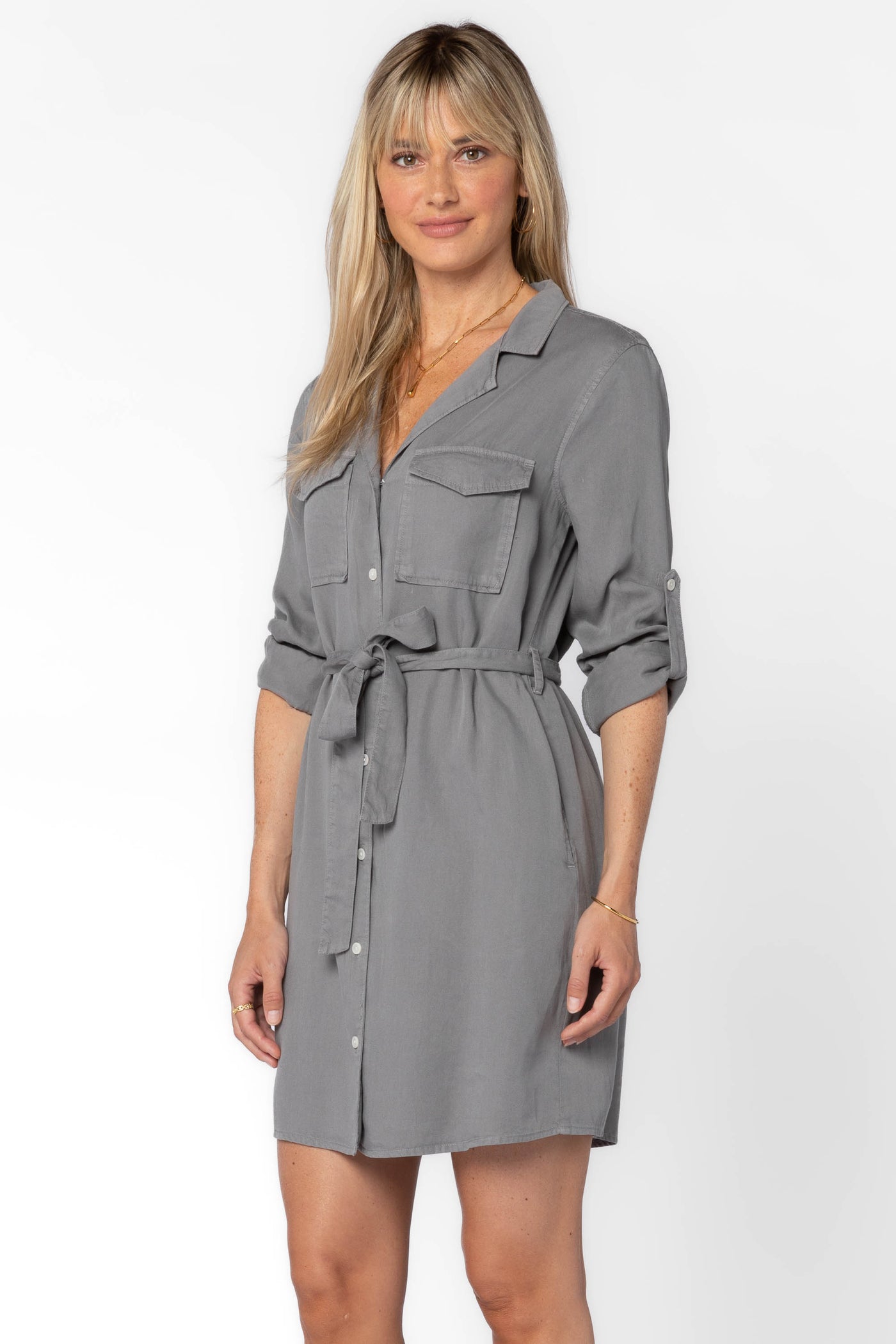 Dalisa Grey Dress - Dresses - Velvet Heart Clothing