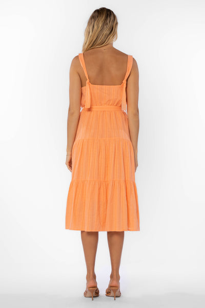 Jezebelle Orange Dress - Dresses - Velvet Heart Clothing